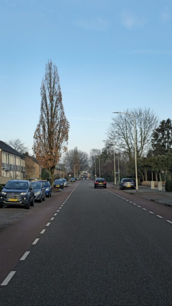 Randwijksingel