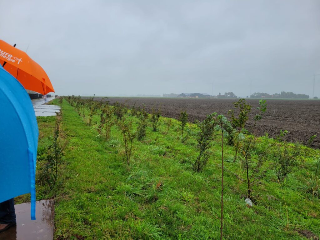 Foto van het landschap waar de windmolens bij Dronten in staan.