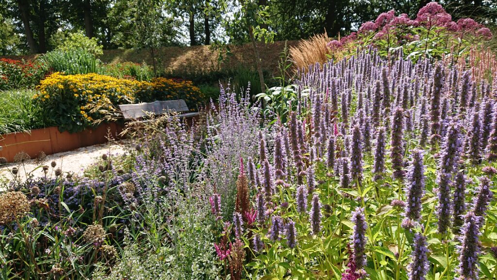 Bloemenperken in stadstuin de Nettelbosch in Steenwijk.