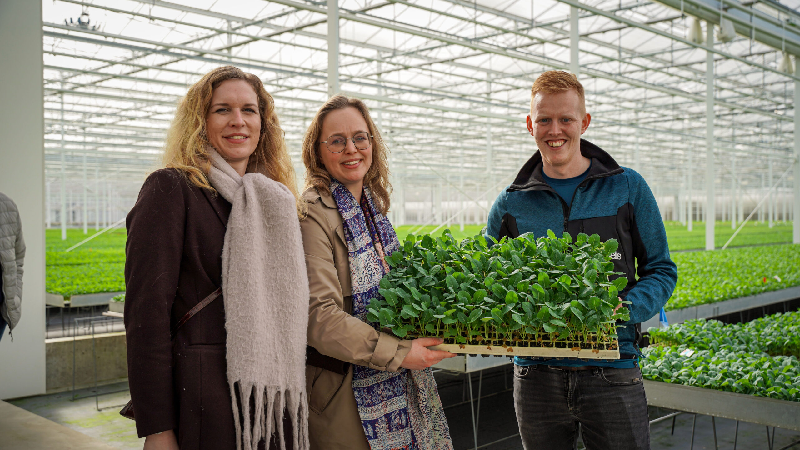 D66 Medemblik — D66-Kamerlid Marieke Vellinga bezoekt tuinbouwbedrijven in Wervershoof