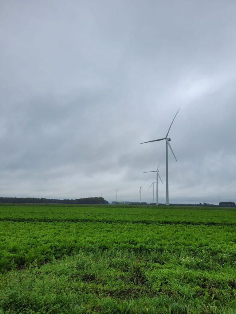 Windmolens in de omgeving van Dronten.