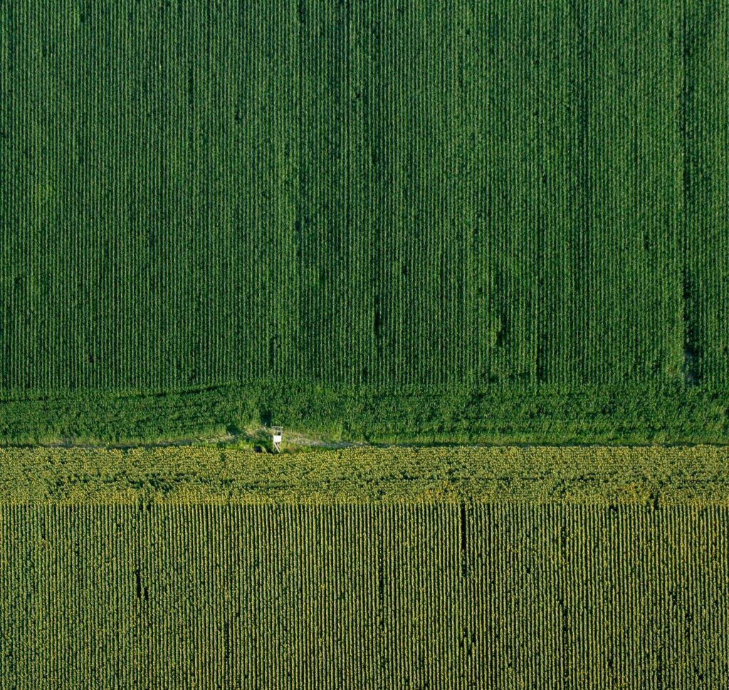agrarische sector