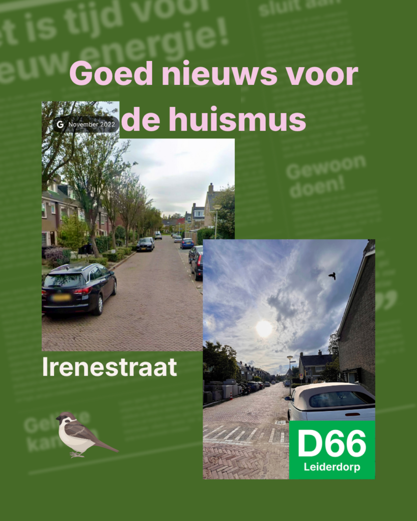 Foto van de Irenestraat voor en na werkzaamheden; De bomen zijn verdwenen en nieuw beleid zou deze vervangen hebben door exoten.